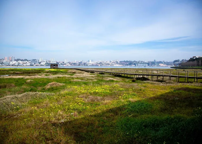 Casa Da Barra 别墅 *